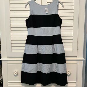 LOFT Black and Light Blue-Gray Striped Sleeveless A-Line Dress